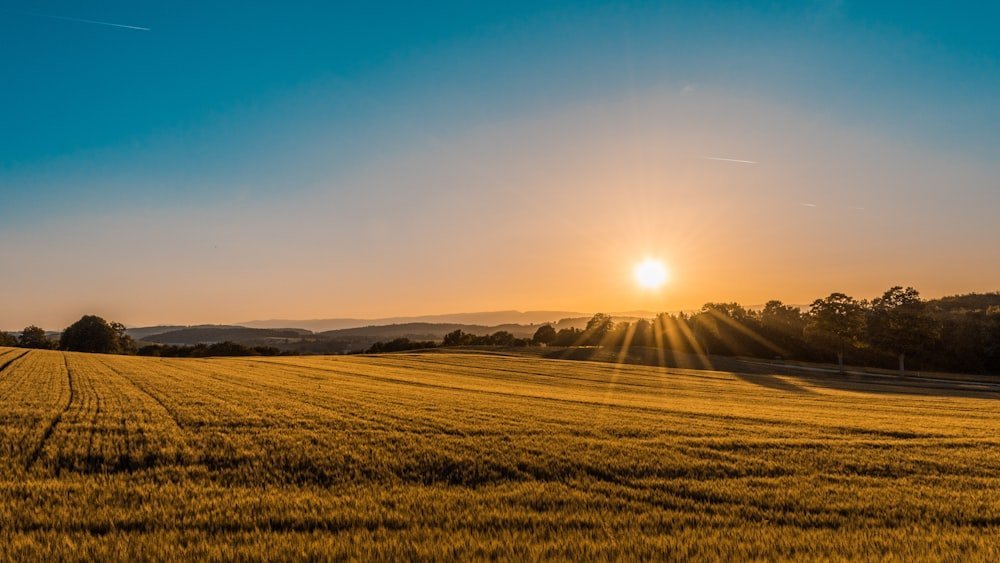 Fracción de Campo & Oportunidad